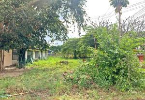 For SaleLandPattaya, Bangsaen, Chonburi : Land with Existing Commercial Structures in Chonburi