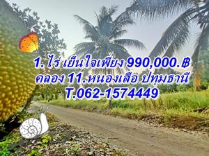 For SaleLandPathum Thani,Rangsit, Thammasat : Land owned by V is very cheap, land 400.wa, price only 990,000 baht at Khlong 11. Nong Suea.T.062-1574449