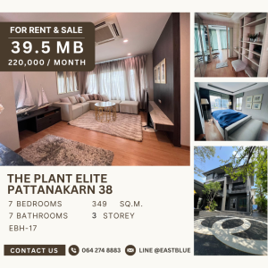ขายบ้านพัฒนาการ ศรีนครินทร์ : For Rent & Sale - The Plant Elite Pattanakarn 38, 39 MB, 064-274-8883