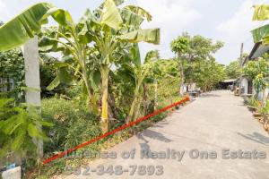 For SaleLandPathum Thani,Rangsit, Thammasat : Land for sale, Khlong 3, Rangsit-Nakhon Nayok, Pathum Thani, very cheap price, suitable for building a house.