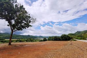 For SaleLandLoei : Land for sale next to the Mekong River, Chiang Khan, next to the main road, mountain view, superb location.  Correct according to the science of Feng Shui.