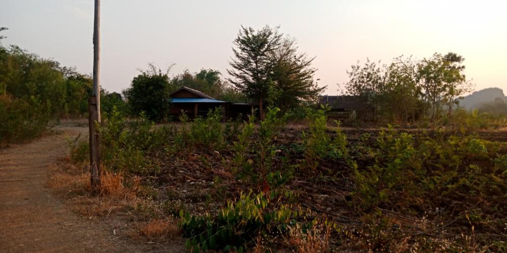 ขายที่ดินสุโขทัย : ขายที่ดิน บ้านน้ำดิบ อ.ทุ่งเสลี่ยม จ.สุโขทัย 56 ไร่ ขายรวม 15ล้าน(ติดเจ้าของ)