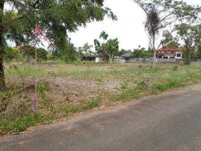 For SaleLandPattaya, Bangsaen, Chonburi : Land for sale in Bang Saray, J Intersection behind the Sensiri Project 3 Rai 1 Ngan