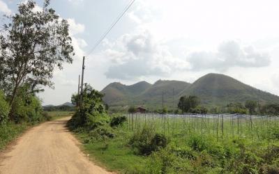 For RentLandHuahin, Prachuap Khiri Khan, Pran Buri : Land rental Near Hua Hin - Huai Mongkol Road (TorLor. 3218) Hin Lek Fai, Hua Hin