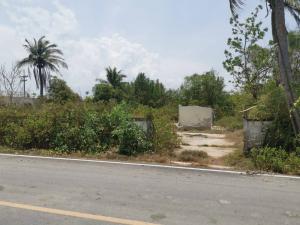 For SaleLandSamut Songkhram : Land for sale, very cheap, Samut Songkhram, area 1-2-83 sq m. Suitable for housing, resort or homestay.