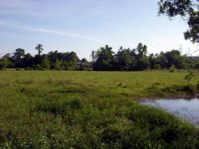 For SaleLandTrat : 11 rai of land for sale on Sukhumvit Road Mueang Trat District