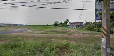 For SaleLandPathum Thani,Rangsit, Thammasat : Land for sale, size 20 rai, next to Lam Luk Ka Klong song Road, near the Green Line 3 km.