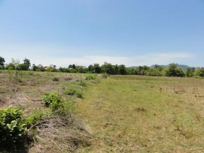 For RentLandKanchanaburi : Land for rent, 20 Rai on Lat Ya Road, Kanchanaburi