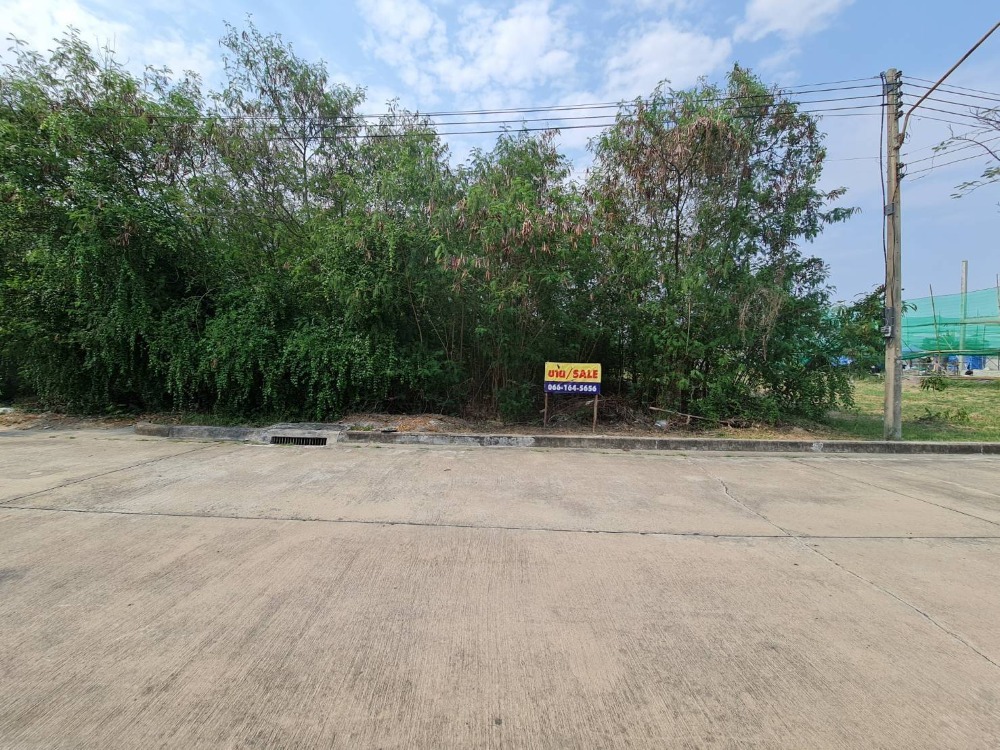 For SaleLandMahachai Samut Sakhon : Land for sale, reclamation, 173.4 sq m., Sarin City - Meka Village.