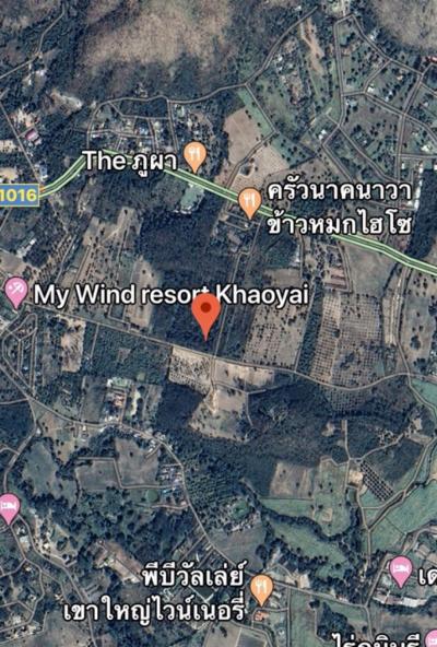ขายที่ดินปากช่อง เขาใหญ่ : ขายที่ดินเขาใหญ่ ถนนผ่านศึก-กุดคล้า 32 ไร่ ติด นาคนาวา ข้าวหมกไฮโซ
