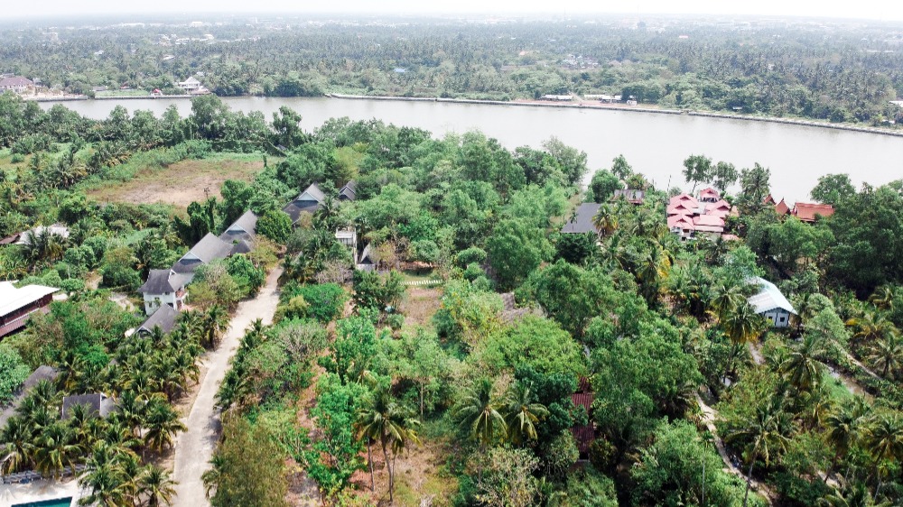 For SaleLandSamut Songkhram : Land for sale near Mae Klong River Beside Wat Thai Hat temple, an area of 6 rai