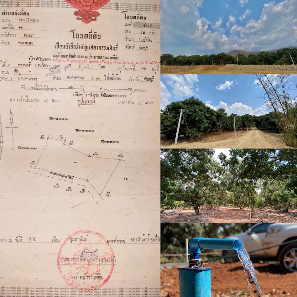 For SaleLandChanthaburi : Land for sale in Longan Park 26 - 1 - 78, price 13 million (Sale by Owner)
