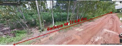 For SaleLandUbon Ratchathani : Land for sale in Ubon province, 19-2-50 rai, near Wat Ton Ton School Suitable for building houses, planting rice, growing sugarcane, cassava, Kaeng Kheng Subdistrict, Kut Khaopun District, Ubon Ratchathani. Contact Chutikan Tel: 0617894147 ID Line: 061789