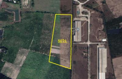 For SaleLandSriracha Laem Chabang Ban Bueng : Land for sale 50 Rai, can be divided into Ban Bueng, Chonburi
