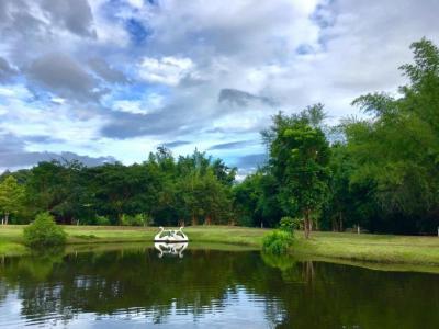 For SaleBusinesses for saleRatchaburi : Post by ownerResort for Sale at Bankha Rachaburi with stream