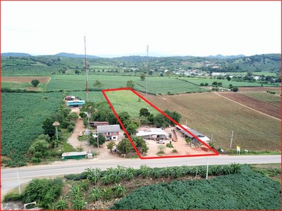 For SaleLandKorat KhaoYai Pak Chong : P Land for sale in Khao Yai, the cheapest, suitable to buy, keep 6 rai, Wang Sai Subdistrict, Pak Chong District