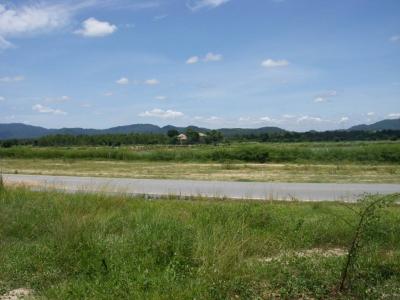 For RentLandPattaya, Bangsaen, Chonburi : Land for rent Next to Nong Kho Reservoir, 193 sq.w., Sriracha