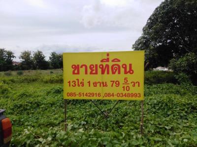 For SaleLandKanchanaburi : Want to sell land on Thessaban 25 Road (Nong Ta indicates the district side) into a small alley in a residential community area of 13 rai 1 ngan 79.5 square wa.