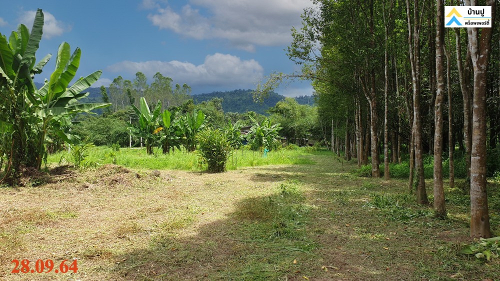 For SaleLandNakhon Nayok : Land for sale in Nakhon Nayok, 2 rai, Soi Wat Hub Moei, Hin Tang Subdistrict, next to the canal Near Khun Dan Dam, mountain view