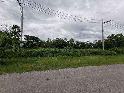 For SaleLandHuahin, Prachuap Khiri Khan, Pran Buri : Want to sell Hua Hin land size 1 rai 56 square wa. Coordinates Hua Hin Soi 9/1, land 650 meters from Petchkasem main road, next to Wang Road.