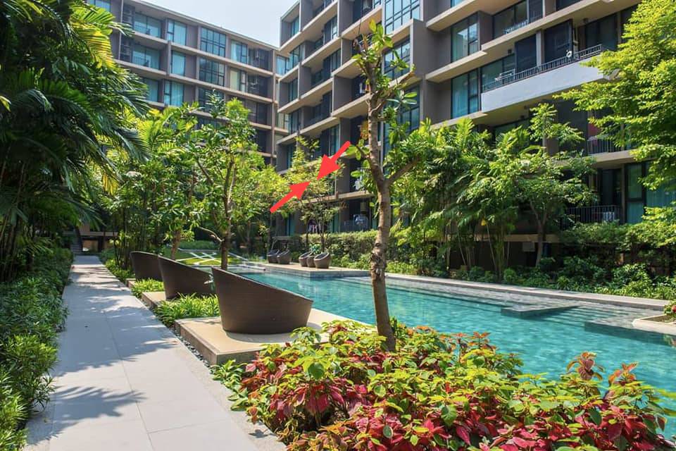 For SaleCondoRathburana, Suksawat : 📢Announcement for sale, project price for sale - Parque Phutthabucha, Park Phutthabucha 48 🌟 Direct installment sales, project owner, maximum 1 year, no interest 🌟 Bank installment And cash, contact for inquiries, call 098-351-5851 * Project near King Mon