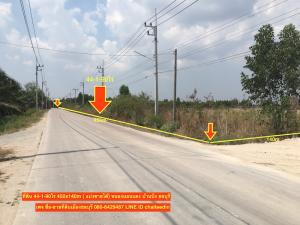 For SaleLandSriracha Laem Chabang Ban Bueng : Land for sale 5-10 rai, Nong Bon Daeng, Ban Bueng, Chonburi