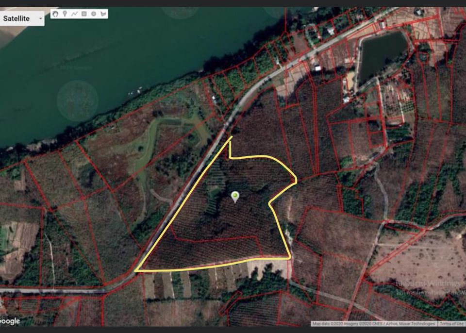 For SaleLandBueng Kan : Land for sale next to the Mekong River. Bueng Kan Province with rubber plantation 54 rai 370 sq m.