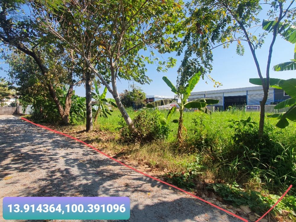 For SaleLandNonthaburi, Bang Yai, Bangbuathong : Land for sale, Soi Wat Lat Pla Duk, 146 sq wa, suitable for building a house. or build an office for sale by owner