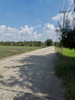 For SaleLandPathum Thani,Rangsit, Thammasat : Land for sale in Sam Khok, Pathum Thani, area 22-3-97 rai, width 88 m., depth 406 m., road in front of the land width 5 m., total price 22.98 million baht.