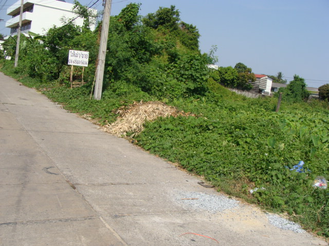 For RentLandEakachai, Bang Bon : Land for rent / sale Bang Bob Soi 1, intersection 16, intersection 1