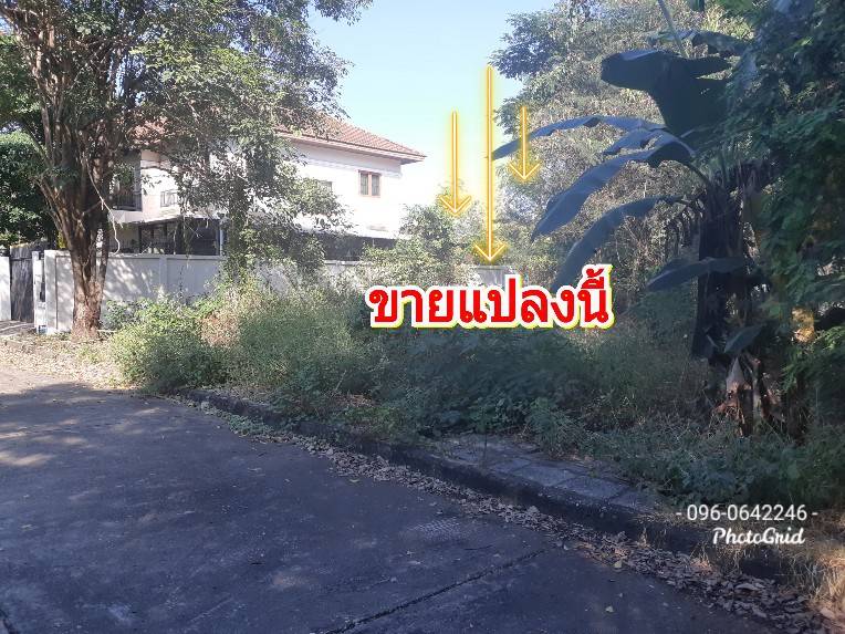 ขายที่ดินพุทธมณฑล ศาลายา : ขายที่ดิน 82 ตรว. ม.กฤษดานคร18 ถนนพุทธมณฑลสาย3 ซ.อัญมณี37/12  ตลิ่งชัน กรุงเทพฯ