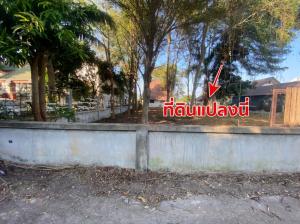 For SaleLandRayong : Land for sale 161 sq wa in the village of Chokdee Village. Behind Laemthong Department Store, Rayong