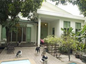 For SaleHouseRatchathewi,Phayathai : House for sale with land, Phayathai Road, Soi Pradiphat, area 214 sqw.