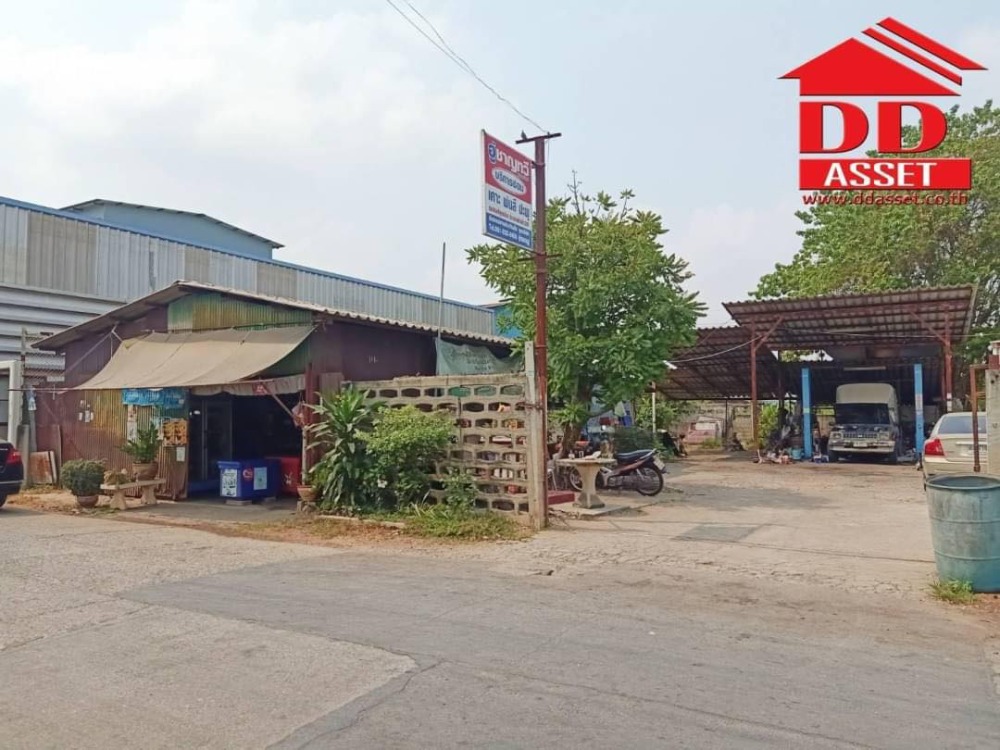 For SaleLandPathum Thani,Rangsit, Thammasat : Land for sale, Rangsit Khlong 1, Soi 10, Rangsit-Nakhon Nayok Road, Thanyaburi, Pathum Thani.