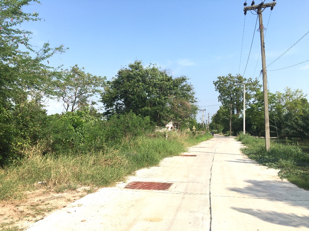 For SaleLandPattaya, Bangsaen, Chonburi : Land for sale in Map Pong, Phan Thong, Chonburi, area of ​​10 rai, 2.1 million each.