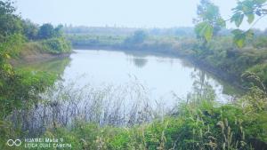 For SaleLandNan : Land for sale 3 rai next to a reservoir. Near Highway Road, Phu Pieng District, Nan Province