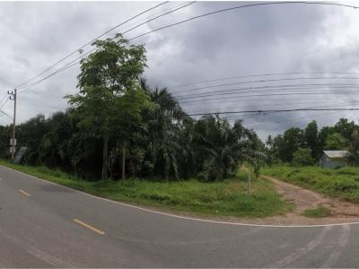 For SaleLandKoh Samui, Surat Thani : Land for sale near Central Surat, 30 rai 3 ngan 97.5 sqw, the best location in the city, beautiful plot, suitable for housing allocated