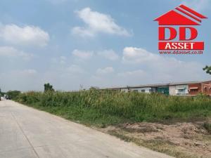 For SaleLandPathum Thani,Rangsit, Thammasat : Land for sale Lam Luk Ka Khlong 4, Sawai Pracharat Road Soi Sawai Pracharat 19, area 2 rai
