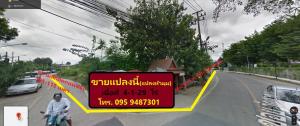 For SaleLandPathum Thani,Rangsit, Thammasat : ขาย ที่ดิน ติดถนนซอยวัดมะขาม(วัดศาลเจ้า) แปลงหัวมุม ติดถนน2ด้าน Ref. A01201202