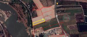 For SaleLandKamphaeng Phet : Land for sale 5 rai, Wang Bua Subdistrict, Khlong Khlung District, Kamphaeng Phet Province.