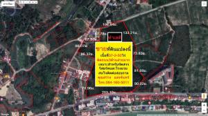 For SaleLandRayong : Land for sale in prime location, area 38 rai, Phala Road, adjacent to 3 roads, Phala Subdistrict, Ban Chang District, Rayong Province, 3.8 million per rai