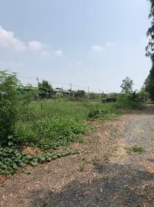 For SaleLandMin Buri, Romklao : Land for sale 400 sq Wah. Nong Chok, Khlong Soi 12, Khlong 12, east side, Lat Krabang,