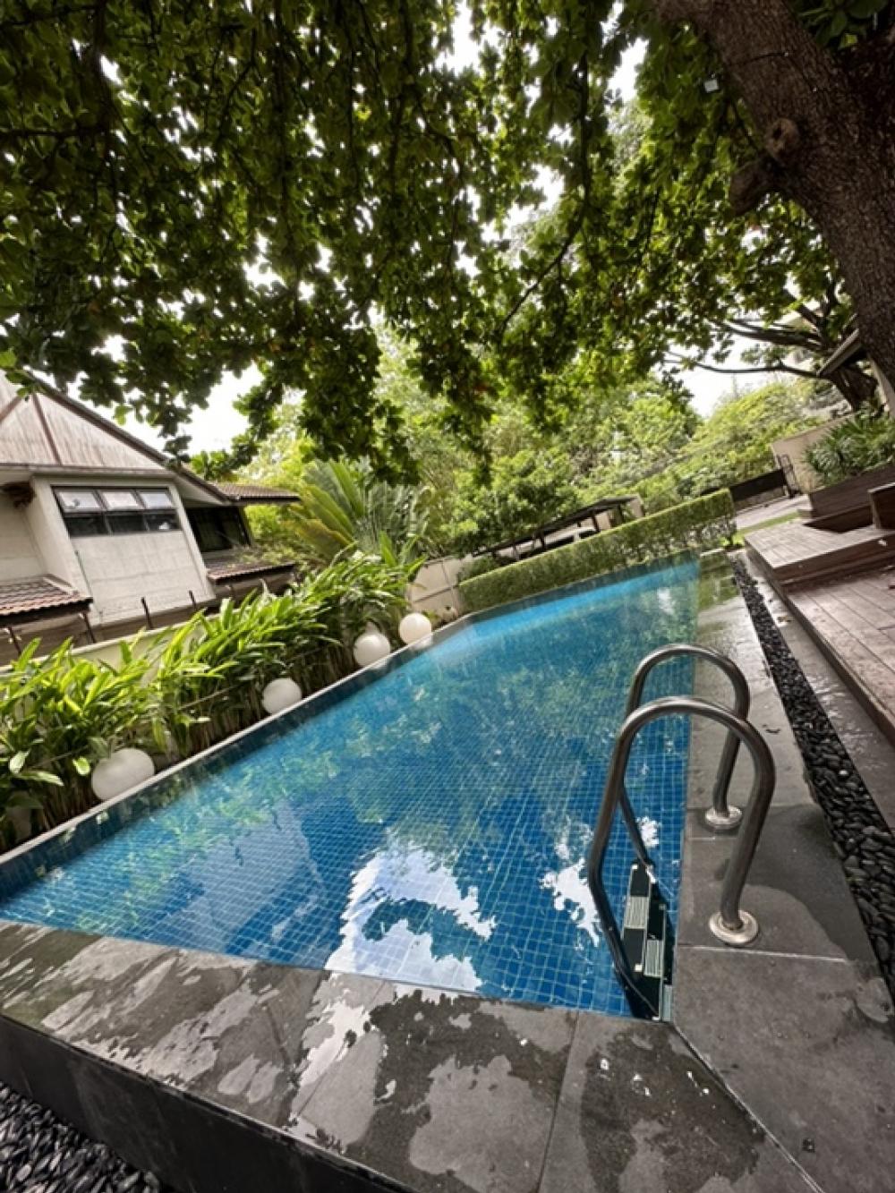 ขายบ้านสุขุมวิท อโศก ทองหล่อ : Rental/ Selling : Villa House In Thonglor with Private Pool , 5 Beds 5 baths ,163 sqw, 459 sqm ,Parking 4+4  🔥🔥 Rental : 550,000 THB / Month🔥🔥  🔥🔥 Selling : 220,000,000 THB 🔥🔥  #Houserental #Fullfurnished #Electr