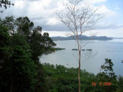 For SaleLandPhuket : Land for sale on the beach, Phuket, Ao Kung, 56-1-3 rai, suitable for resorts, villas