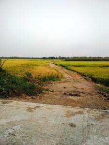 For SaleLandAyutthaya : Land for sale 20 rai , Chang Lek , Bang Sai , Phra Nakhon Si Ayutthaya.