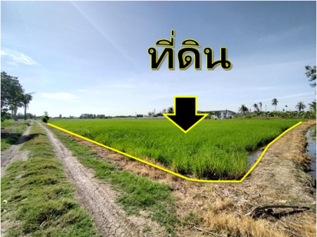 For SaleLandNonthaburi, Bang Yai, Bangbuathong : Land for sale, Sai Noi, Khlong Khun Si, 8-1-50 rai, suitable for factories, warehouses, warehouses.