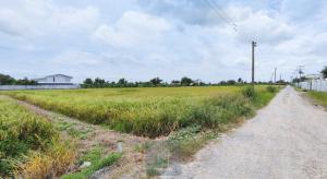 For SaleLandPathum Thani,Rangsit, Thammasat : Land for sale, Khlong 5, east side, 10 rai, Khlong Luang District, Pathum Thani Province, away from the highway. Pathum Thani - Ayutthaya, only 2.5 km.