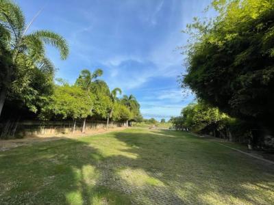 For RentLandPattaya, Bangsaen, Chonburi : Land for rent in Pattaya next to the Sanctuary of Truth There is a way to the private beach, not more than 100 meters.