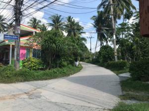 For SaleLandKoh Samui, Surat Thani : 4 plots of beautiful land for sale on Samui