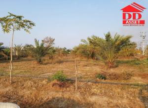 For SaleLandSuphan Buri : Land for sale, 13 rai, Nong Ratchawat, Nong Ya Sai District, Suphan Buri Land with mixed plantations, Itphalum, etc. Land on the road with electricity Sold with 1 cement house